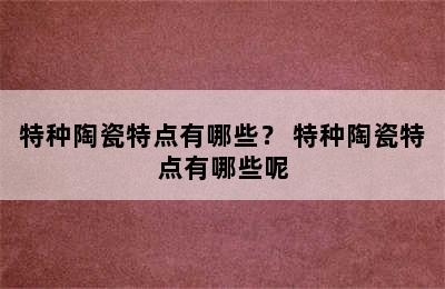 特种陶瓷特点有哪些？ 特种陶瓷特点有哪些呢